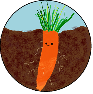 Carrot Kao